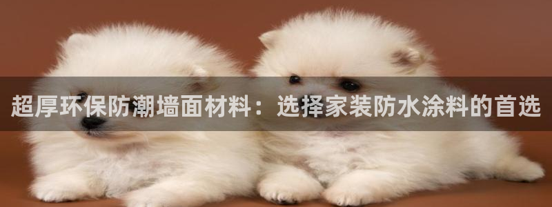 和记官网官方网站：超厚环保防潮墙面材料：选择家装防水涂料的首