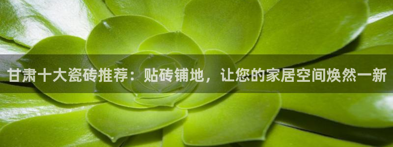 和记网页：甘肃十大瓷砖推荐：贴砖铺地，让您的家居空间焕然一新