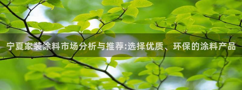 和记ag登录：宁夏家装涂料市场分析与推荐:选择优质、环保的涂料产品